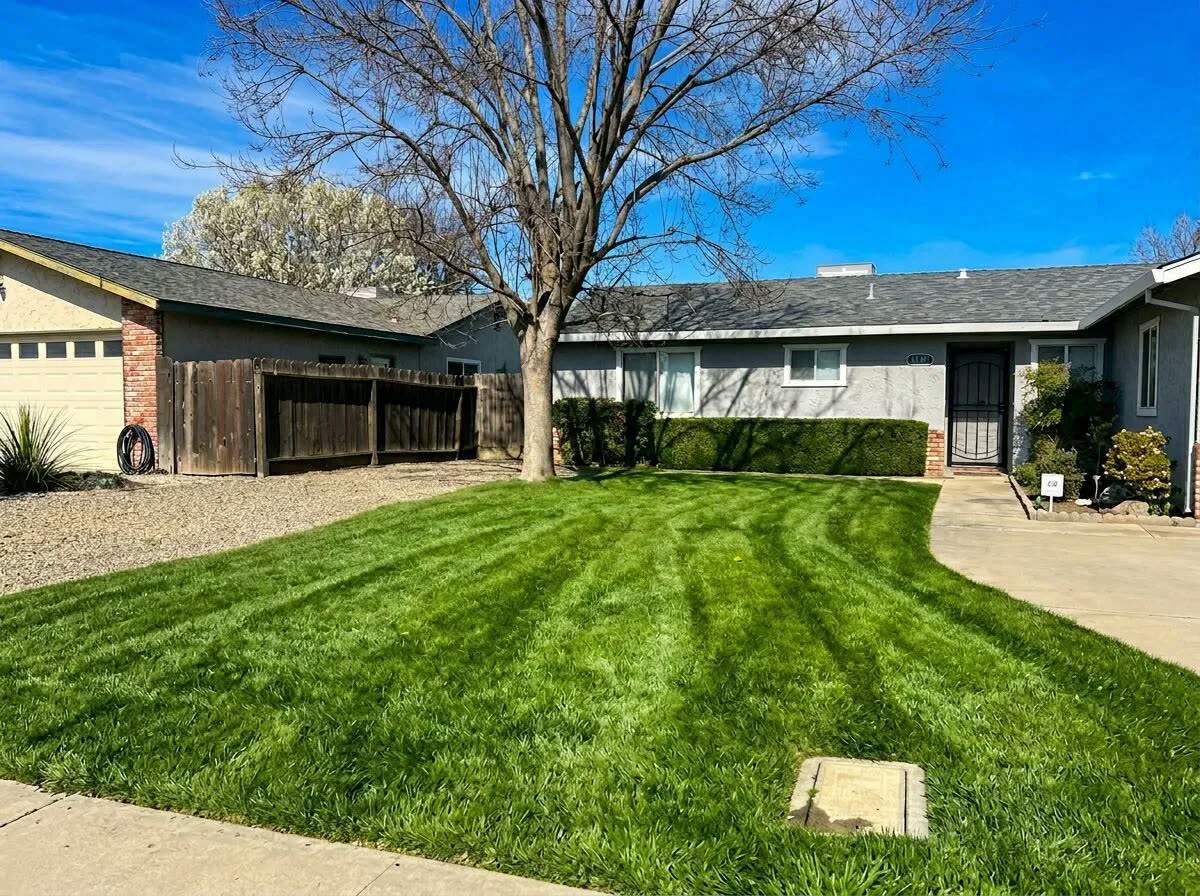 Lawn maintained during fall season with bare trees in background