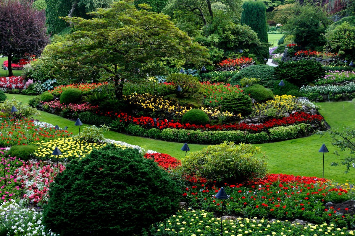 Landscaped garden showcasing professional landscaping services in Central Valley
