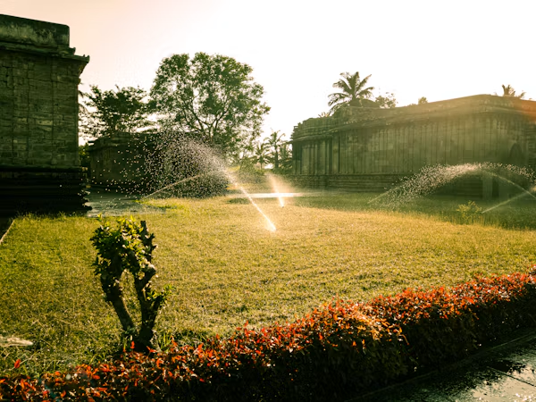 Irrigation planning for a Selma residential landscape.