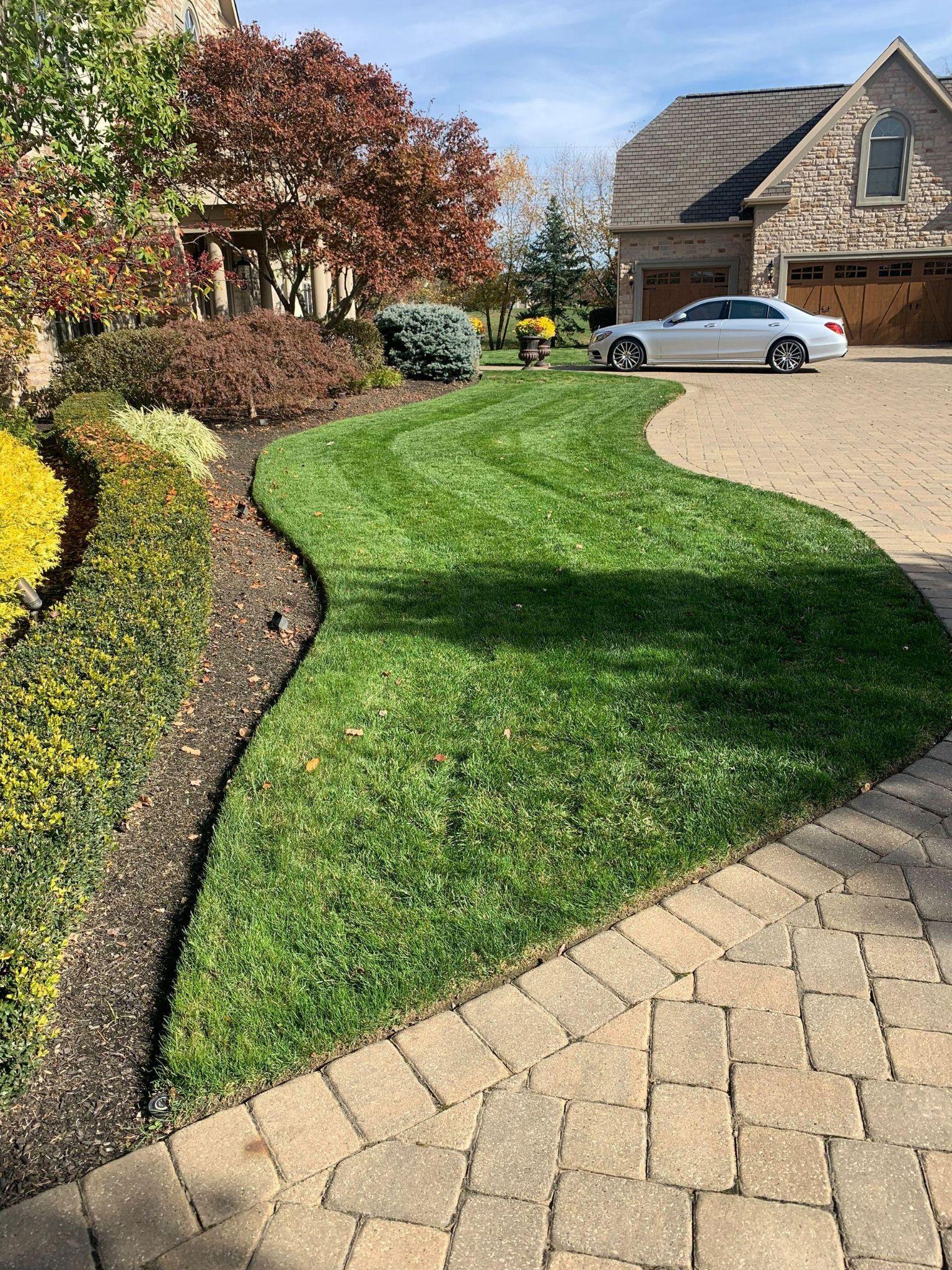 Professional driveway edging in Central Valley creating a sharp boundary between lawn and concrete pavement.