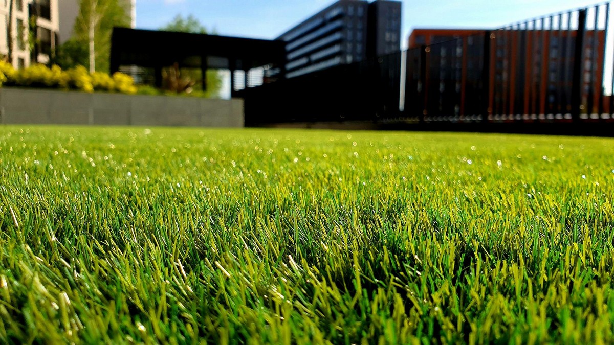 Healthy green lawn maintained through lawn maintenance services in Central Valley