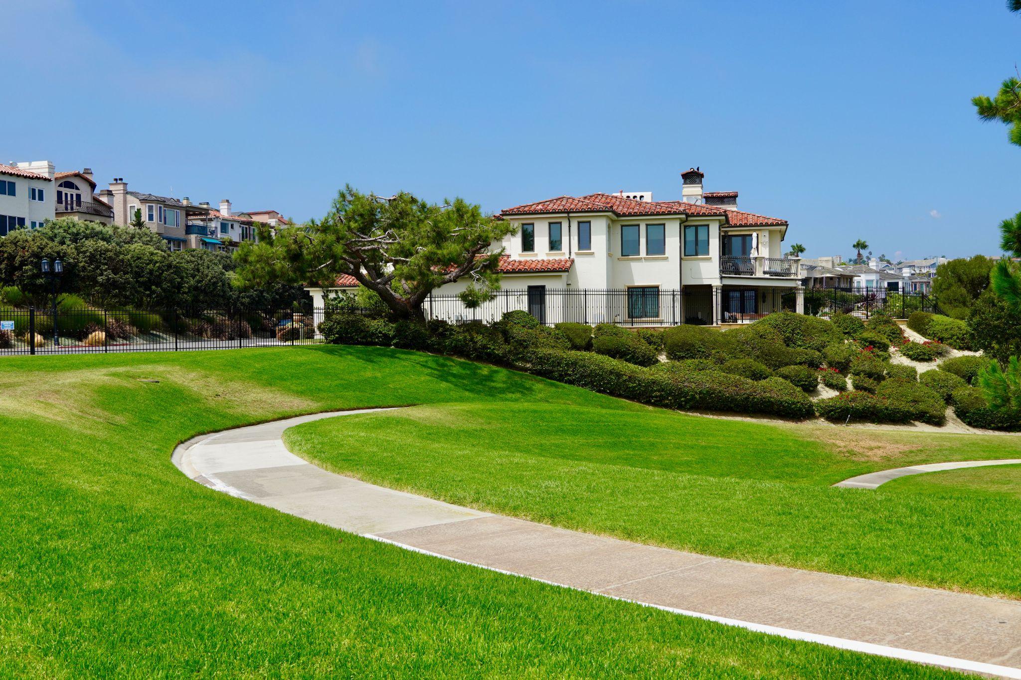 Dry residential lawn during a California summer
