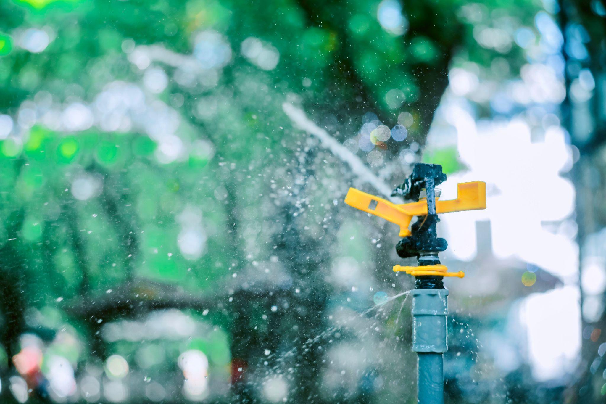 Sprinkler watering a residential lawn
