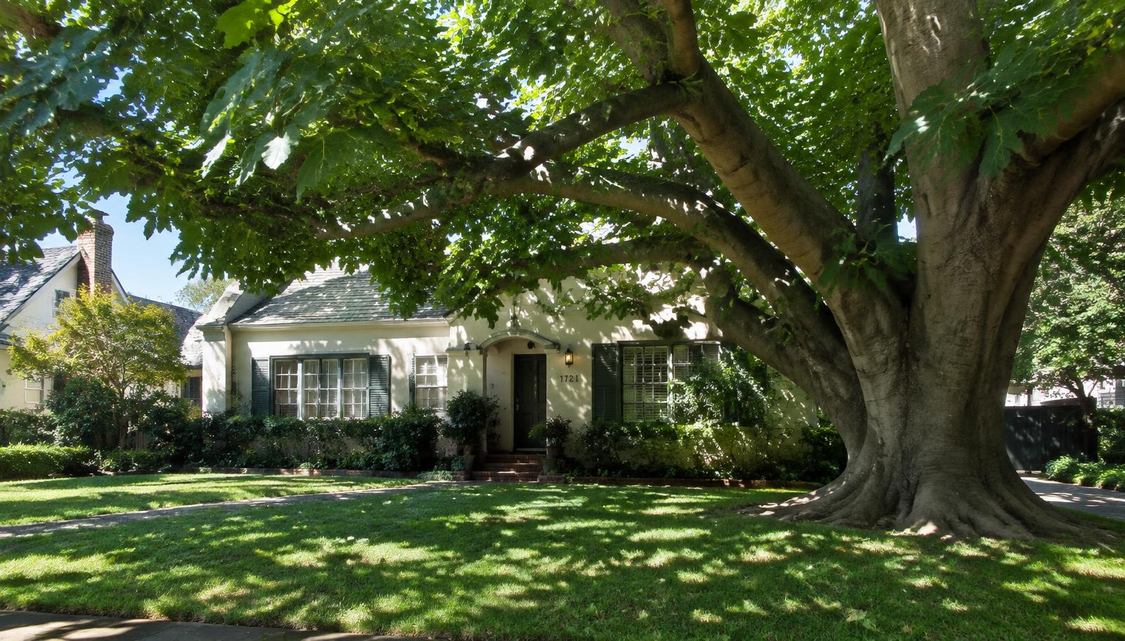 Shady Old Fig Garden front lawn under a mature tree in Fresno