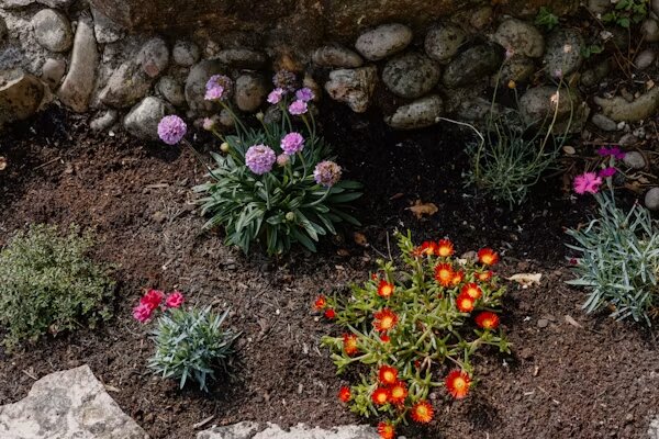 Flower bed landscaping in the Selma with fresh mulch coverage.