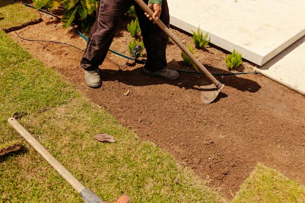 Mulching services in Selma, CA for attractive, healthy landscape beds.