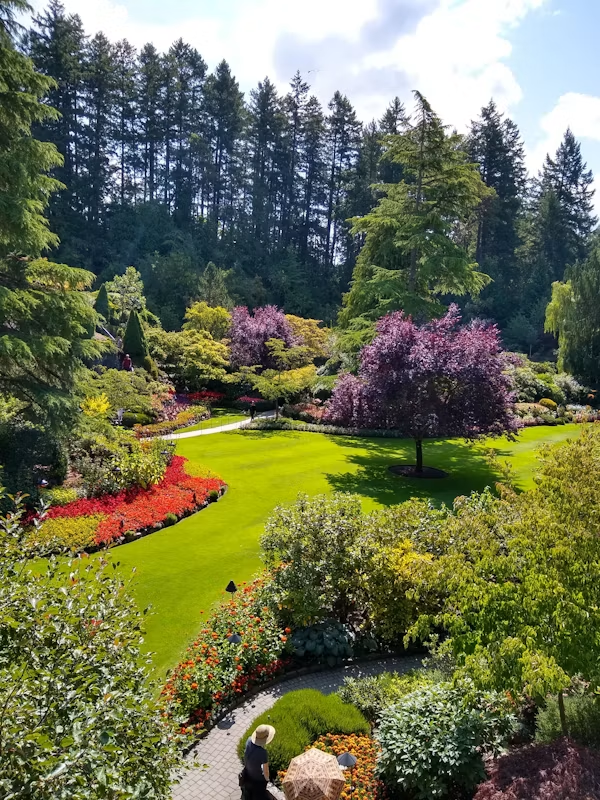 Landscaping company in the Central Valley maintaining a residential property
