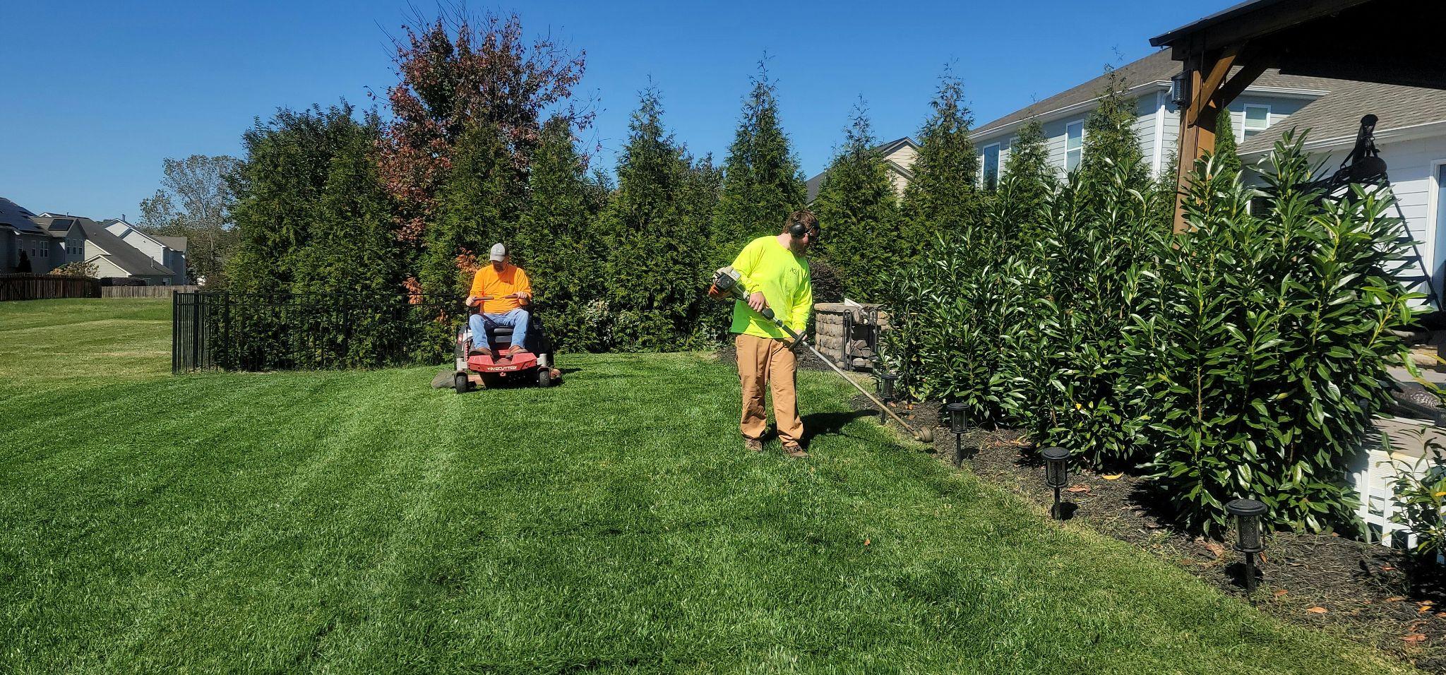A professional provides lawn maintenance services in Central Valley for a residential yard.