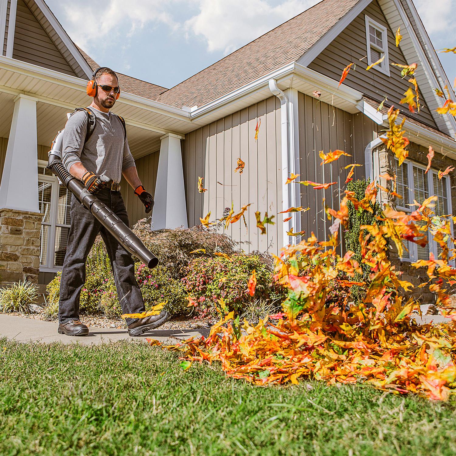 Fall yard cleanup in Central Valley removing accumulated leaves from a residential lawn.