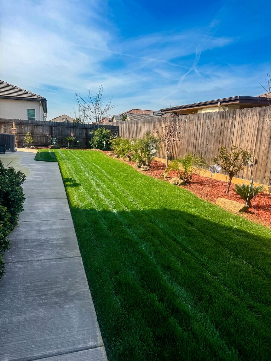 The Best Lawn Schedule for Fresno's 100°+ Summers