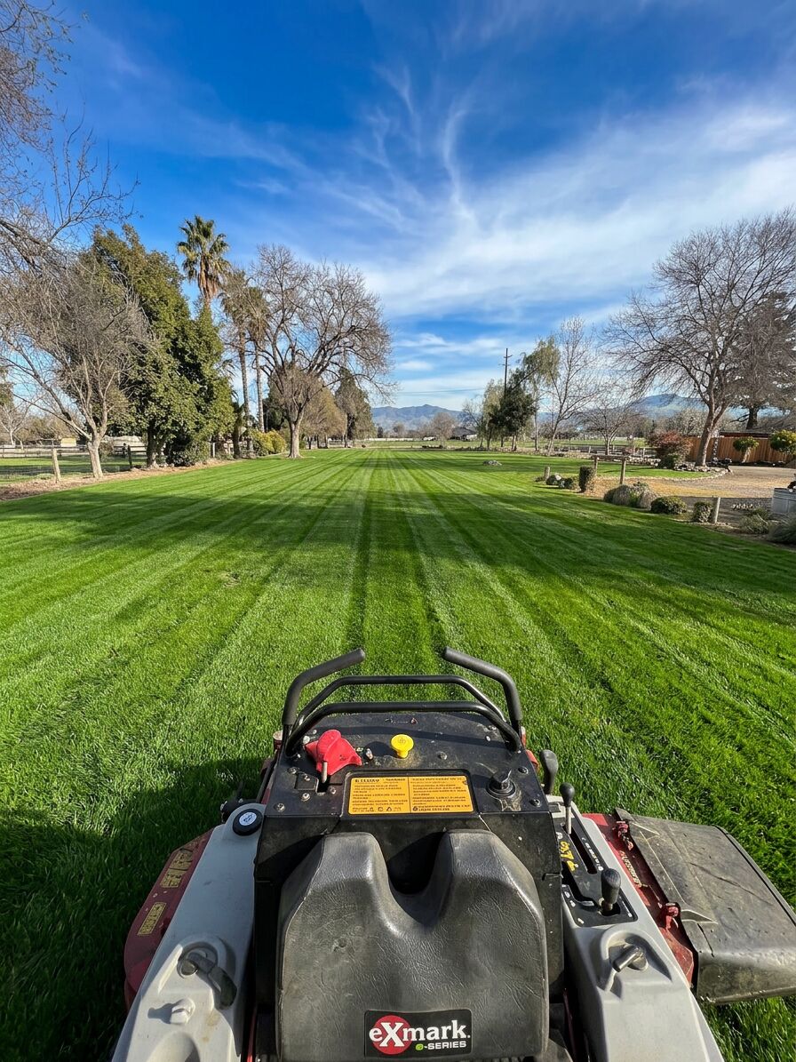 Sprinkler Repair 101 for Parlier Front Yards